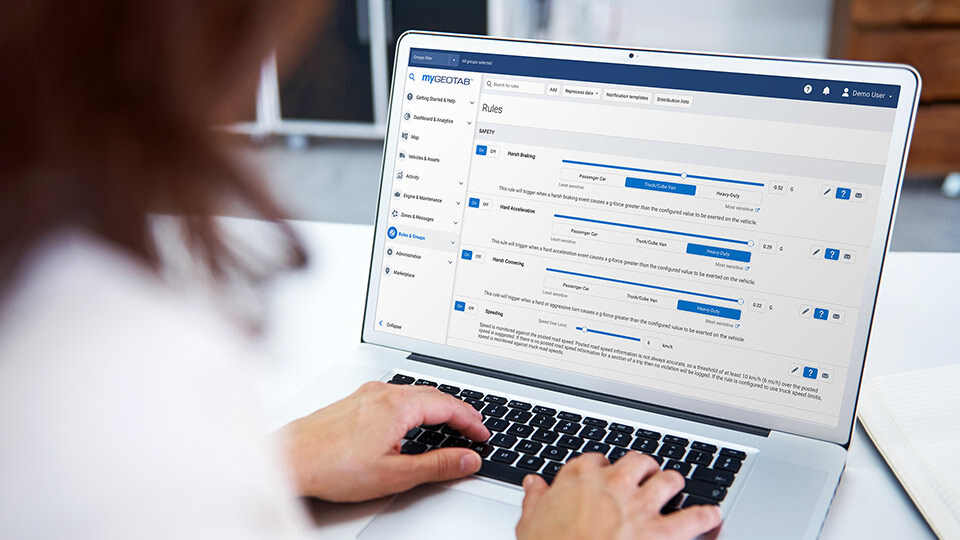 A lady looking at her computer screen