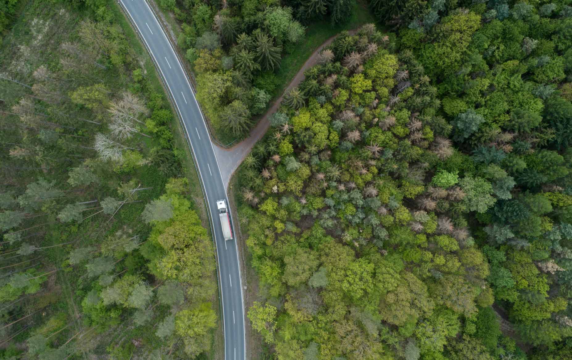 green trees surrounding truck on road