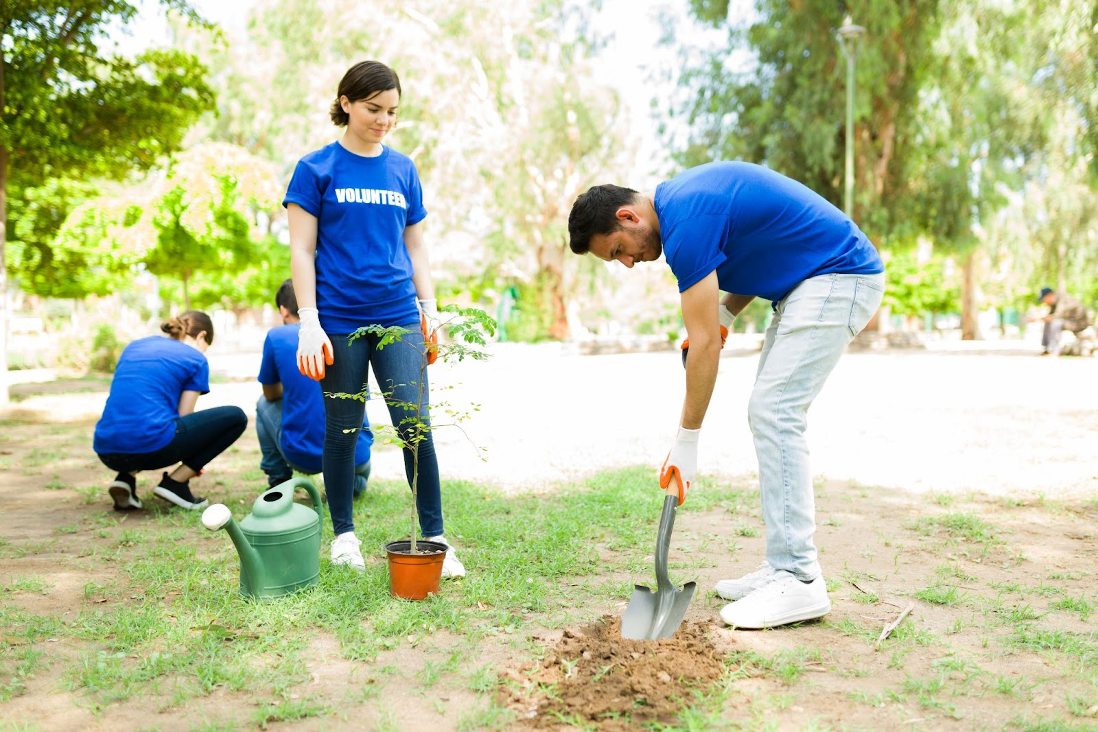 volunteers planting tree