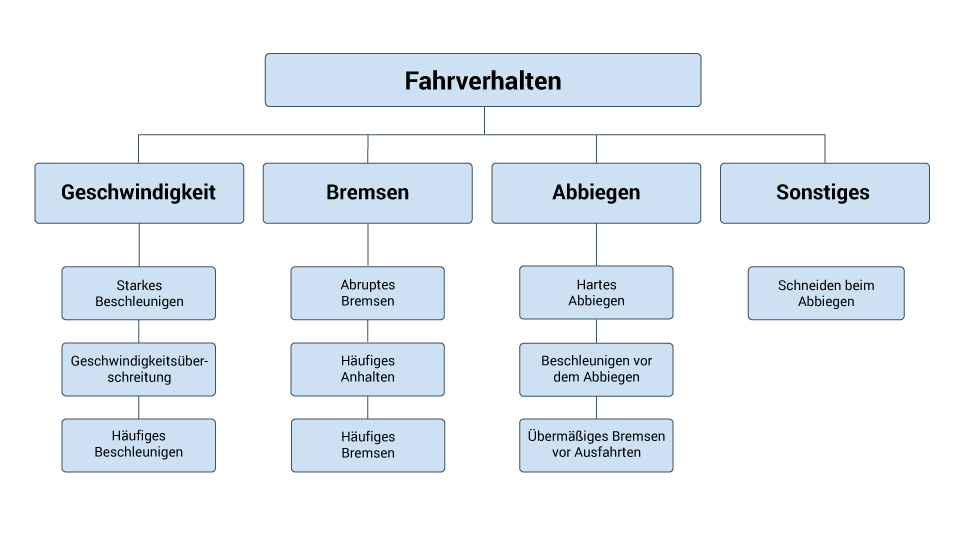 Bild mit Auflistung riskanten Fahrerverhaltens.