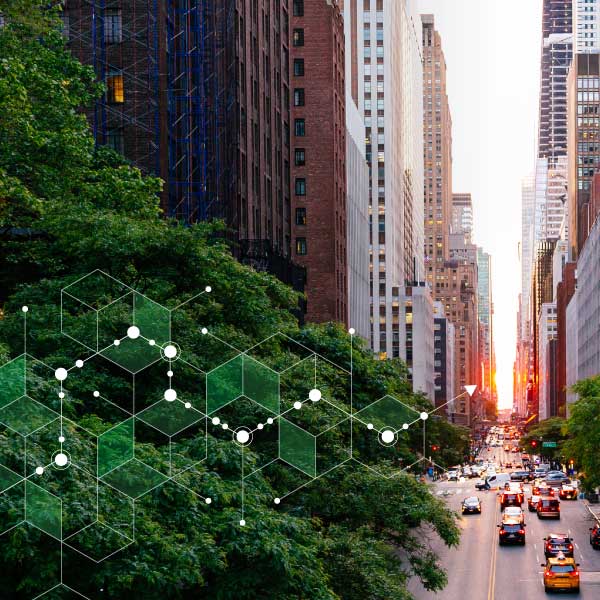 Una calle de la ciudad con tráfico al atardecer, árboles verdes a la izquierda y un gráfico hexagonal verde superpuesto.