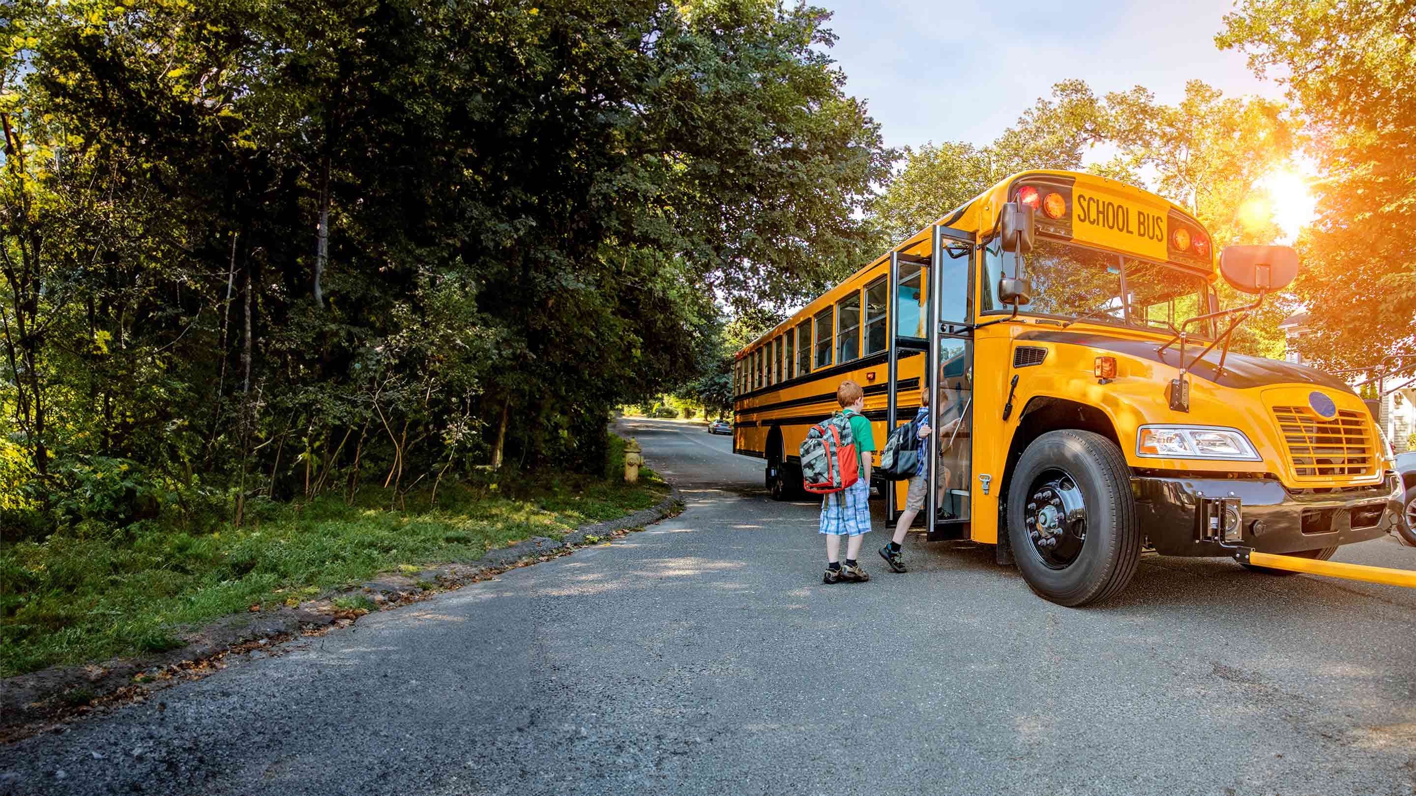 school bus image