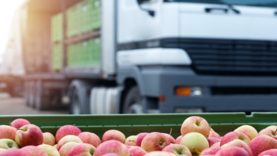 Gestão de frotas para o setor de alimentos e bebidas