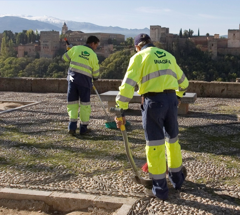 Workers in green suit